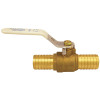 Apollo 1 in. Brass Insert Poly Ball Valve