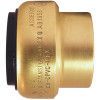 Tectite 1 in. Brass Push-to-Connect Cap