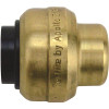 Tectite 3/8 in. Brass Push-To-Connect Cap