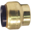 Tectite 1/2 in. Brass Push-to-Connect Cap