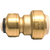 Tectite 1/2 in. IPS x 1/2 in. CTS Brass Push-to-Connect Conversion Coupling