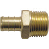 Apollo 1/2 in. Brass PEX-B Barb x 1/2 in. Male Pipe Thread Adapter (5-Pack)
