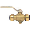 Tectite 3/4 in. Brass Push Ball Valve with Flange and Drain