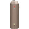 Rheem 50 gal. 40,000 BTU Professional Classic Power Direct Vent Residential Natural Gas Water Heater, Side T&P Relief Valve