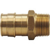Apollo 3/4 in. Brass PEX-A Expansion Barb x 1/2 in. MNPT Male Adapter