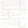 MSI Aria Bianco 24 in. x 48 in. Polished Porcelain Floor and Wall Tile (16 sq. ft./Case)