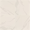 MSI Eden Statuary 24 in. x 24 in. Matte Porcelain Marble Look Floor and Wall Tile (128 sq. ft./Pallet)
