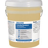 Maxim 5 Gal. Liquid Laundry Destainer/Bleach