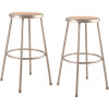 National Public Seating 30 in. Grey Heavy-Duty Steel Stool (2-Pack)