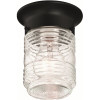 Design House 1-Light Black Indoor/Outdoor Jelly Jar Flush Mount Ceiling Light