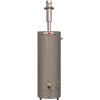 Rheem Professional Classic Mobile Home 30 Gal. Tall 6-Year 30,000 BTU Convertible Direct Vent Natural Gas/LP Water Heater