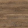 A&A Surfaces Lowcountry Heirloom Oak 7 in. x 48 in. Glue Down Luxury Vinyl Plank Flooring (50 cases / 1600 sq. ft. / pallet)