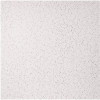 GENESIS 23.75in. x 23.75in. Printed Pro Lay In Vinyl White Ceiling Tile (Case of 12) GENESIS 23.75in. x 23.75in. Printed Pro Lay In Vinyl White Ceiling Tile (Case of 12)
