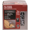 Everbilt #8 x 3/4 in. Self Piercing Lath Screw 5 lbs.-Box (985-Piece)