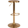 Carnegy Avenue 31 in. Adjustable Height Gold Bar Stool Carnegy Avenue 31 in. Adjustable Height Gold Bar Stool