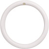 Feit Electric 12 in. 32-Watt Equivalent T9 LED Circline Circular Linear Light Bulb Cool White (1-Bulb)