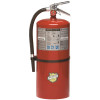 Buckeye 20 lbs. 10 Amp 120BC Fire Extinguisher