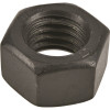 3/8 in. - 16 in. Black Exterior Hex Nuts (50-Pack)