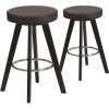 Carnegy Avenue 24.25 in. Black Bar Stool (Set of 2)