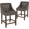 Carnegy Avenue 24 in Dark Gray Leather Bar Stool (Set of 2) Carnegy Avenue 24 in Dark Gray Leather Bar Stool (Set of 2)