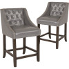 Carnegy Avenue 24 in. Light Gray Leather Bar stool (Set of 2) Carnegy Avenue 24 in. Light Gray Leather Bar stool (Set of 2)