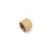 Anderson Metals 1/2 in. Brass Flare Cap (10-Bag)