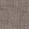 Shaw Bradstreet Charcoal Loop Pattern Commercial 24 in. x 24 in. Glue Down Carpet Tile (20 Tiles/Case) Shaw Bradstreet Charcoal Loop Pattern Commercial 24 in. x 24 in. Glue Down Carpet Tile (20 Tiles/Case)