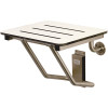 Kingston Brass Adascape 18 in. x 16 in. WallMounted Fold Down Shower Seat in Brushed Stainless Steel ADA Compliant