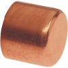 NIBCO 1-1/2 in. Wrot Copper C Tube Cap