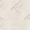 MSI Ader Tegal 12 in. x 24 in. Matte Porcelain Marble Look Floor and Wall Tile (16 sq. ft./Case)