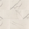 MSI Ader Tegal 12 in. x 24 in. Polished Porcelain Marble Look Floor and Wall Tile (16 sq. ft./Case)