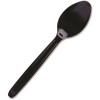 CUTLEREASE Black Disposable PS Spoon 24/40
