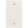 HUBBELL WIRING 1-Gang White Box Mount Blank Wall Plate