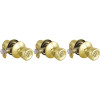 Defiant Waterbury Polished Brass Keyed Entry Door Knob with KW1 Keyway (3-Pack)