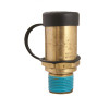 1 in. 250 PSI MNPT External Relief Valve