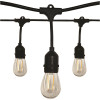 Outdoor 24 ft. Plug-in Edison Bulb String Light