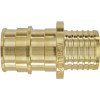 Apollo 3/4 in. Brass PEX-A Expansion Barb x Polybutylene Coupling