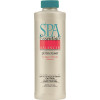 Spa Essentials 1 pt. pH Increaser Pool Balancer