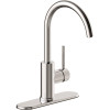 Seasons Westwind Single-Handle Standard Kitchen Faucet in Chrome