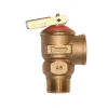 Zurn 3/4 in. Relief Valve 125 psi