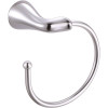 Premier Creswell Towel Ring in Chrome