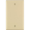 Leviton 1-Gang No Device Blank Wallplate Standard Size Thermoplastic Nylon Box Mount Ivory