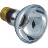 Halco 100-Watt 12-Volt Clear Lens Medium Base Pool Replacement Incandescent Light Bulb R20 Shape