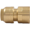 SharkBite 1/2 in. Brass Push-to-Connect Straight Connector, Female NPT
