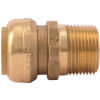 SharkBite 1 in. Brass Push-to-Connect Straight Connector, Male NPT