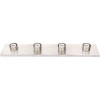 ROYAL COVE 4-Light Brushed Nickel Bath Light