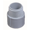 Carlon 2 in. PVC Male Terminal Adapter (Standard Fitting)