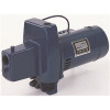 Sta-Rite 3/4 HP Shallow Well Jet Pump