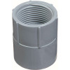 Carlon 3/4 in. Female PVC Conduit Adapter (Standard Fitting) Carlon 3/4 in. Female PVC Conduit Adapter (Standard Fitting)