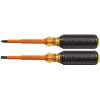 Klein Tools Screwdriver Set, 1000V Insulated Slotted and Phillips, 2-Piece